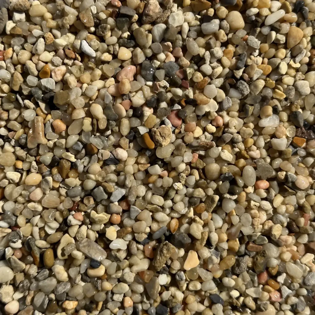 golden pearl